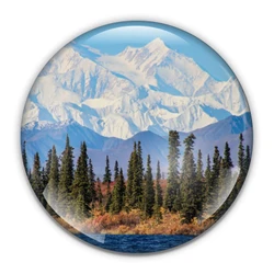Alaska Paperweight