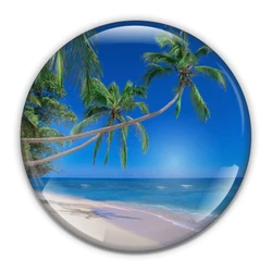 Fiji Paperweight