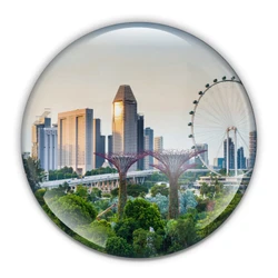 Singapore Paperweight