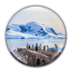 Antarctic Paperweight