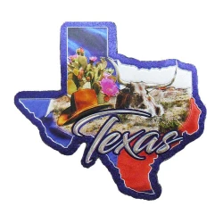 Texas State Shaped Magnet 3.25in